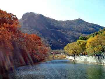 新澳天天开奖资料大全旅游团，碳酸钙